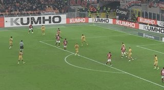 6.gif