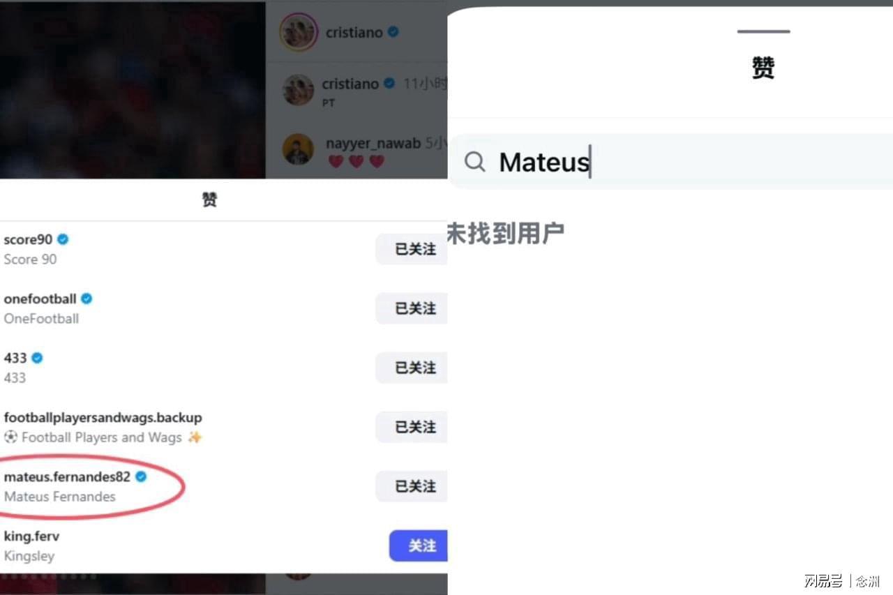 bw必威西汉姆联官方网站相关图片